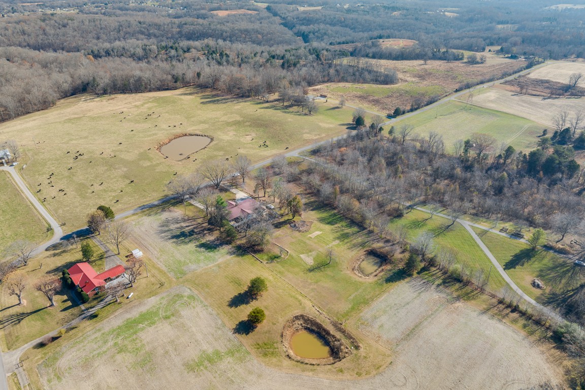1030 Spring Creek Road Chapmansboro, TN 37035 - Photo 50 of 57 Gallery Image 50
