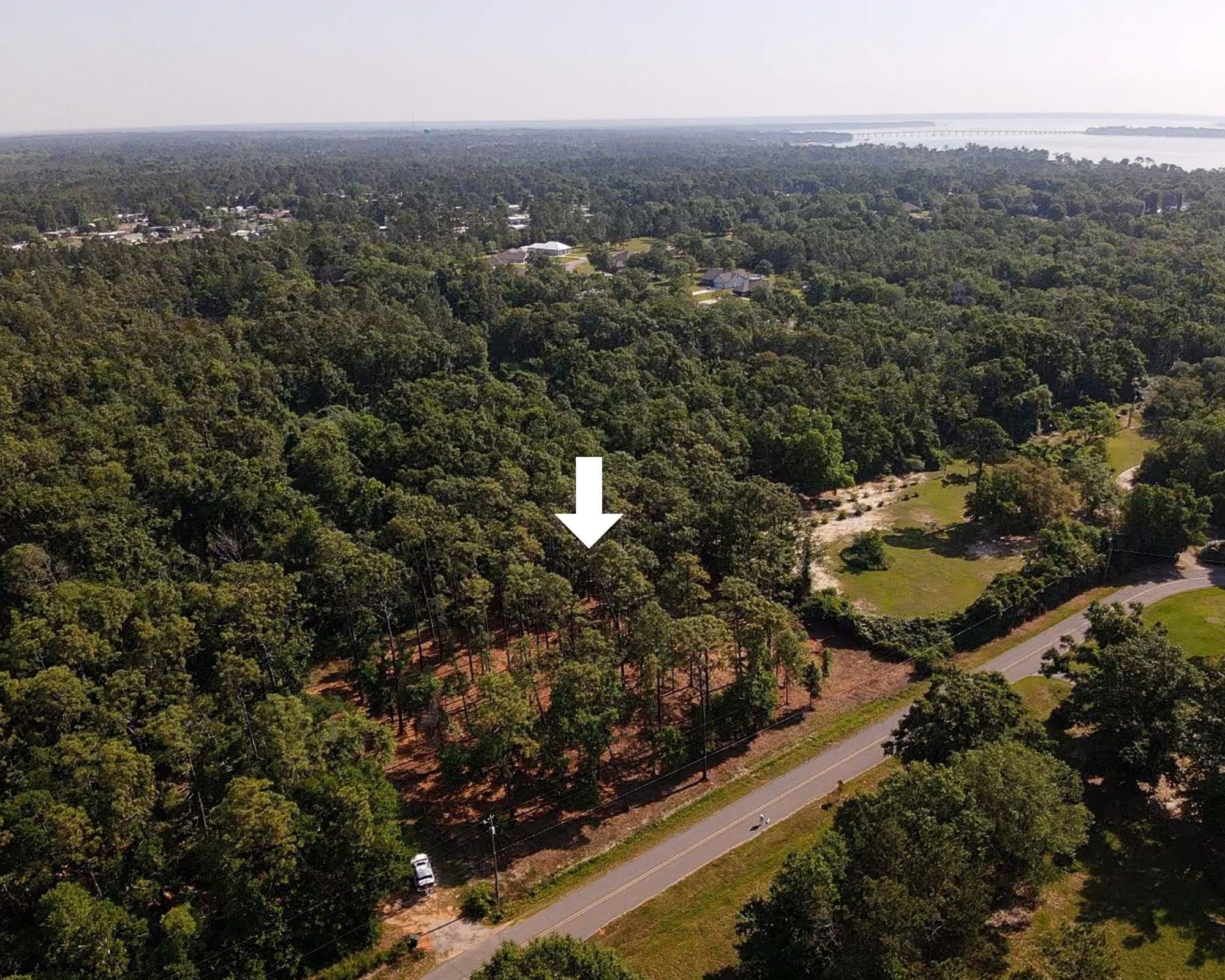 0 Antietam Road Lillian, AL 36549 - Photo 19 of 32