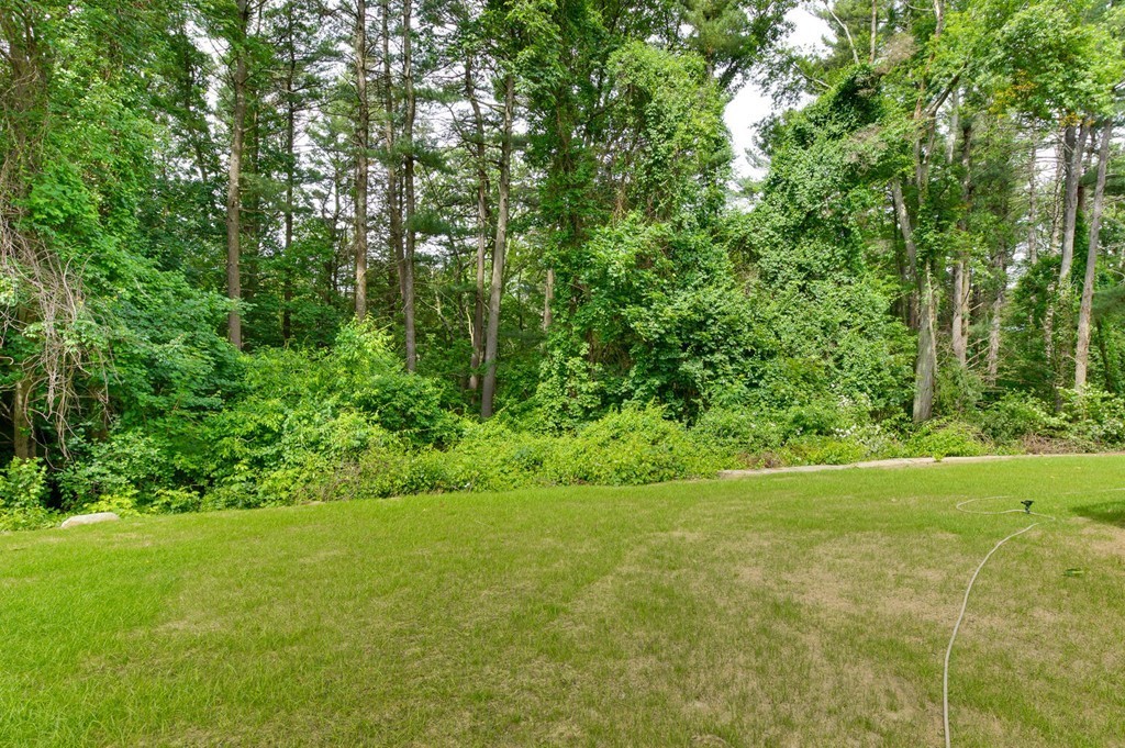 6 Corcoran Road Burlington, MA 01803 - Photo 20 of 24 Gallery Image 20