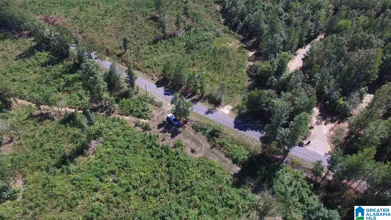 0 Jackson Trail, Unit 140 ACRES Altoona, AL 35952 - Photo 11 of 50