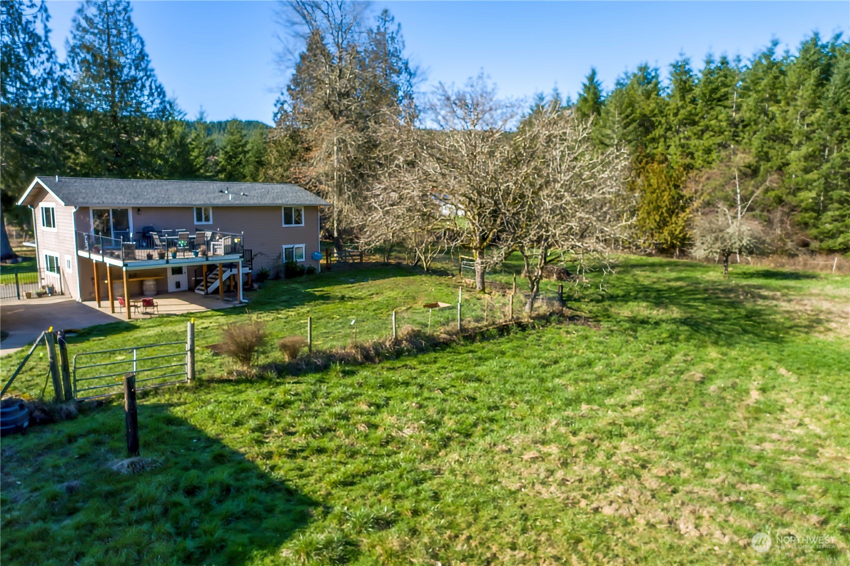 142 Literal Road Chehalis, WA 98532 - Photo 31 of 40 a view of backyard with table and chairs and potted plants and large trees