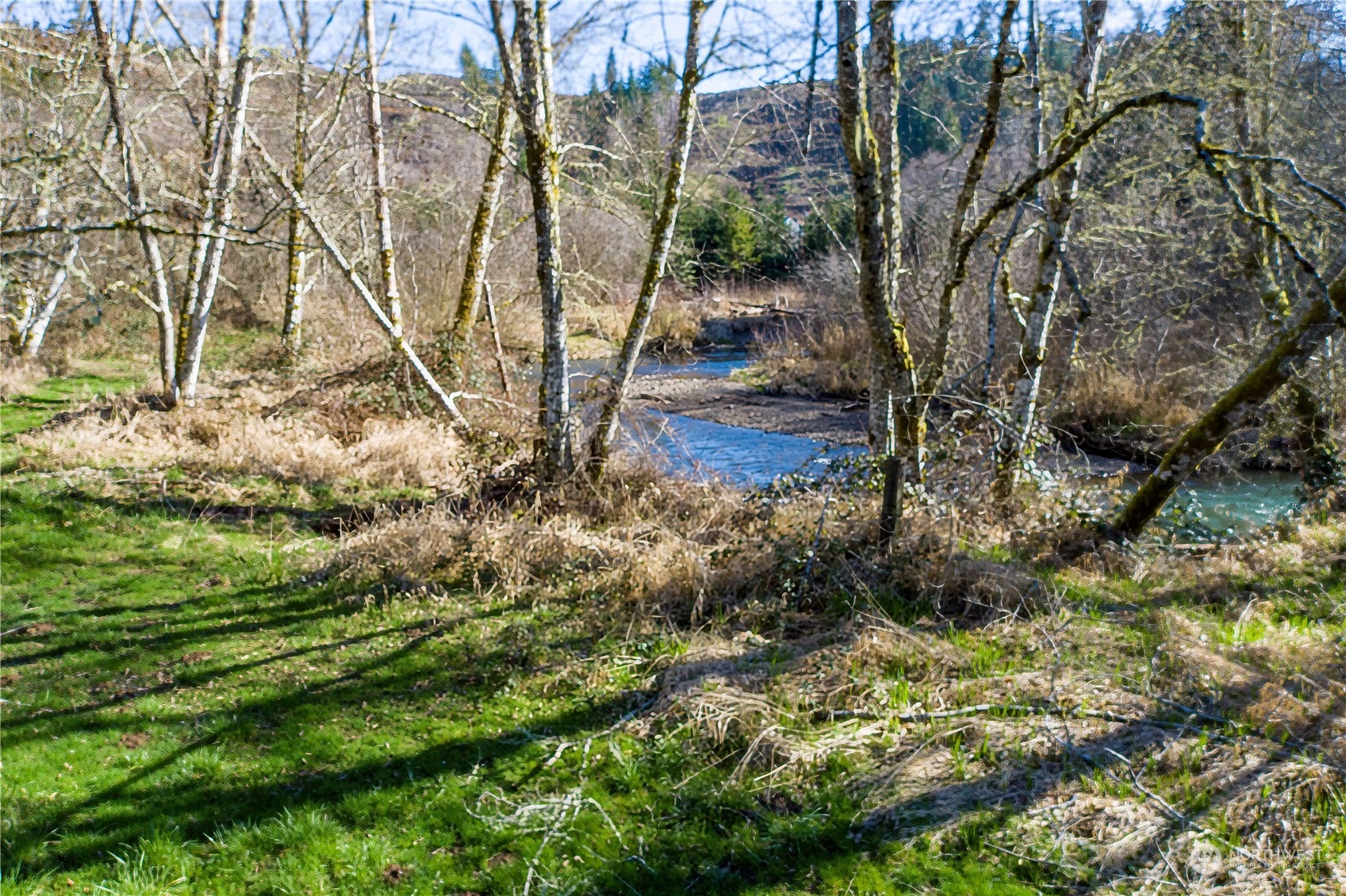 142 Literal Road Chehalis, WA 98532 - Photo 32 of 40 a view of yard with green space