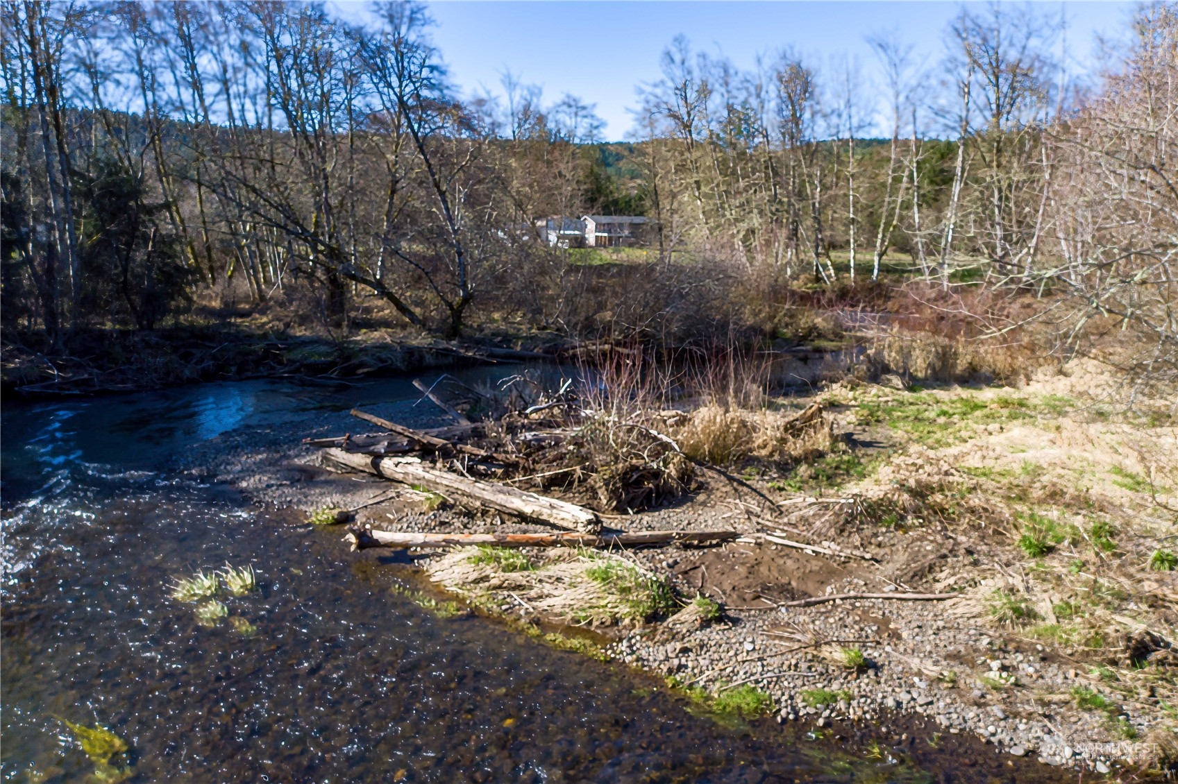 142 Literal Road Chehalis, WA 98532 - Photo 33 of 40 a view of yard with wooden bridge