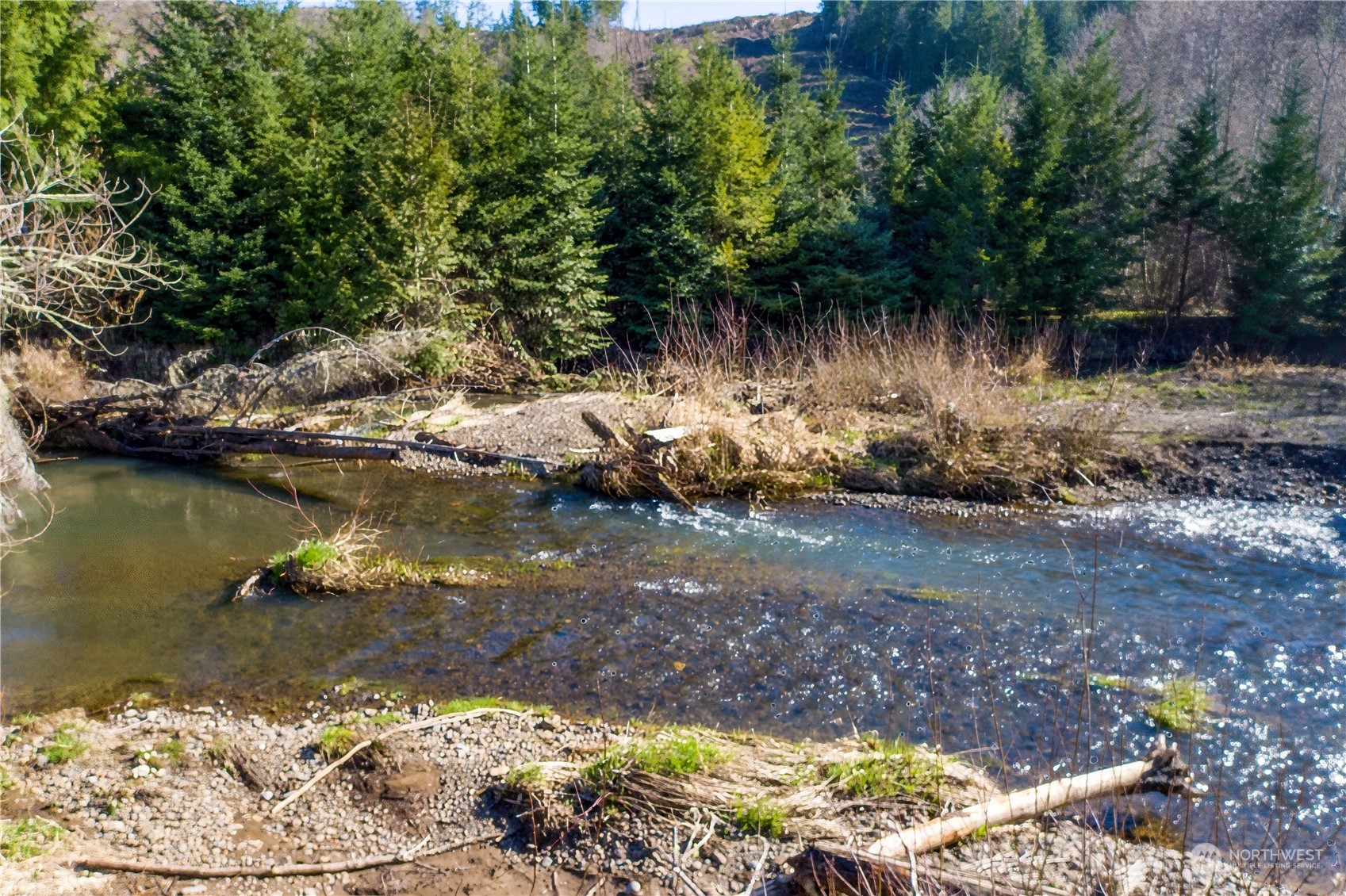 142 Literal Road Chehalis, WA 98532 - Photo 34 of 40 a view of lake with green space