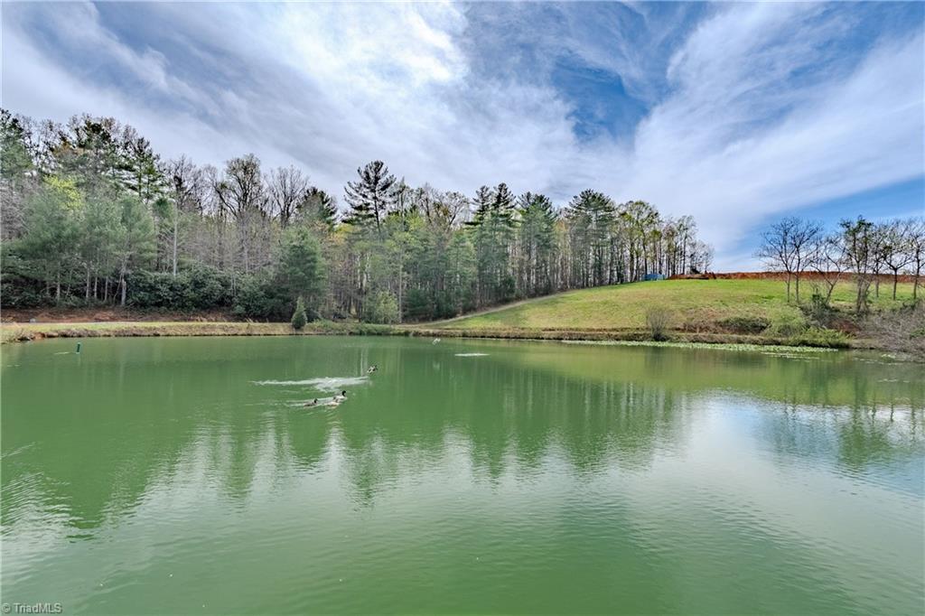 585 Oak Grove Church Road Mount Airy, NC 27030 - Photo 12 of 34