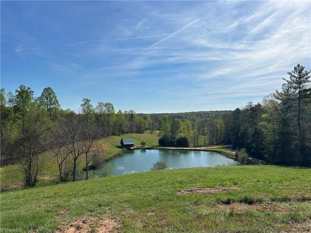 585 Oak Grove Church Road Mount Airy, NC 27030 - Photo 2 of 34 Great Homesite