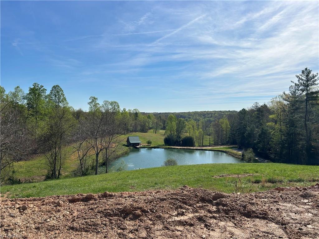 585 Oak Grove Church Road Mount Airy, NC 27030 - Photo 31 of 34