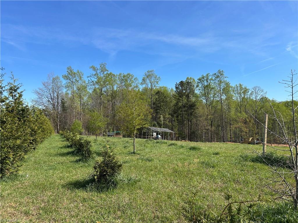 585 Oak Grove Church Road Mount Airy, NC 27030 - Photo 34 of 34