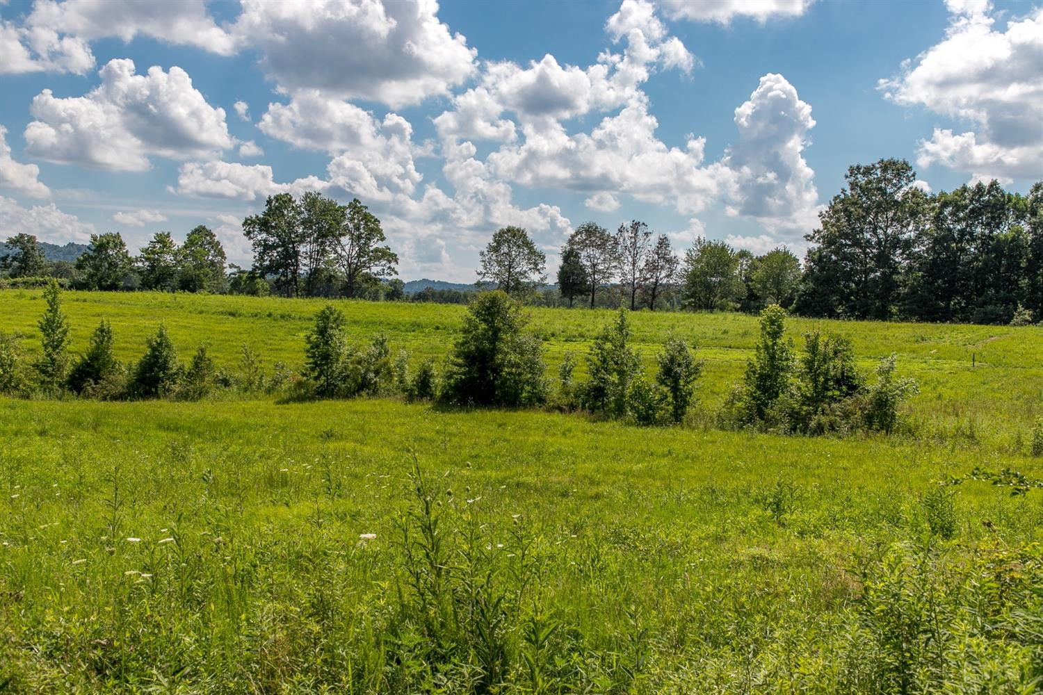 2675 Bowens Loop Road Stanford, KY 40484 - Photo 26 of 40 Photo 26