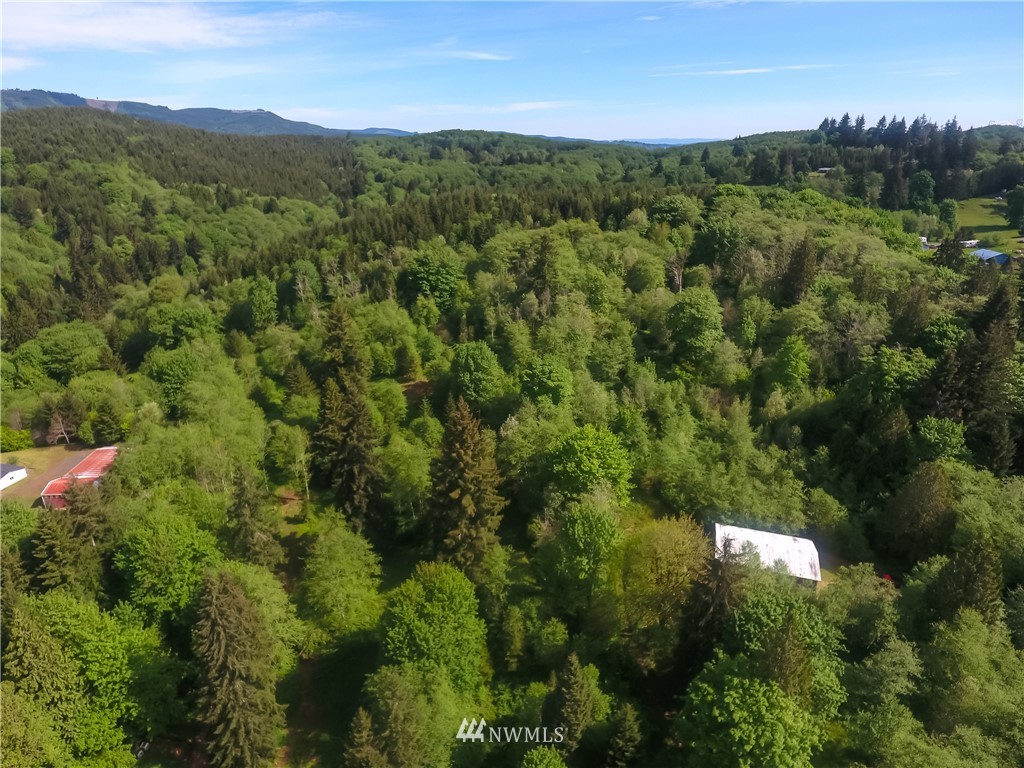 324-xx Ragland Road Longview, WA 98632 - Photo 13 of 27