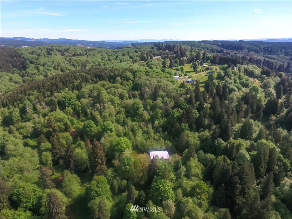 324-xx Ragland Road Longview, WA 98632 - Photo 14 of 27