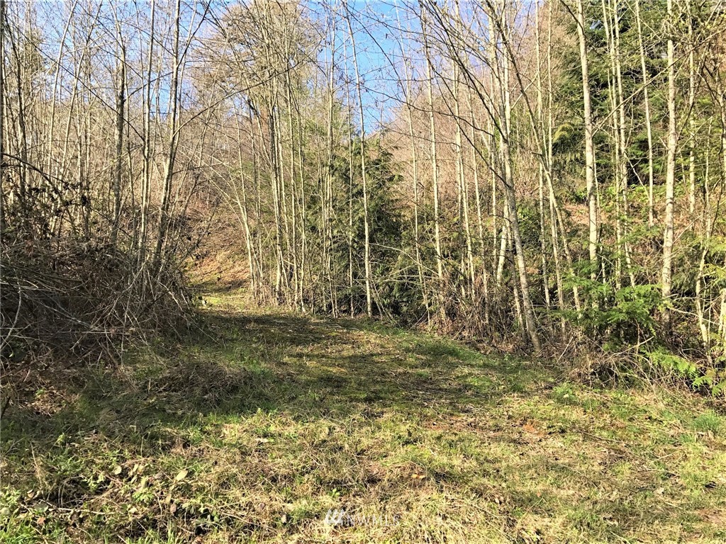 324-xx Ragland Road Longview, WA 98632 - Photo 15 of 27
