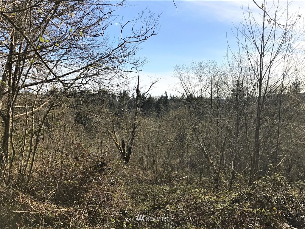 324-xx Ragland Road Longview, WA 98632 - Photo 18 of 27