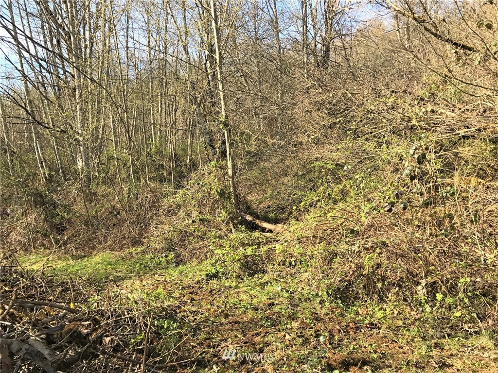 324-xx Ragland Road Longview, WA 98632 - Photo 19 of 27