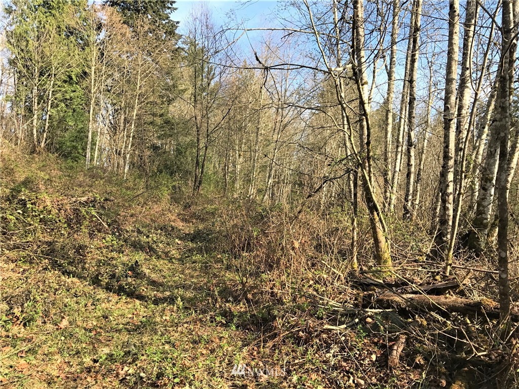 324-xx Ragland Road Longview, WA 98632 - Photo 20 of 27