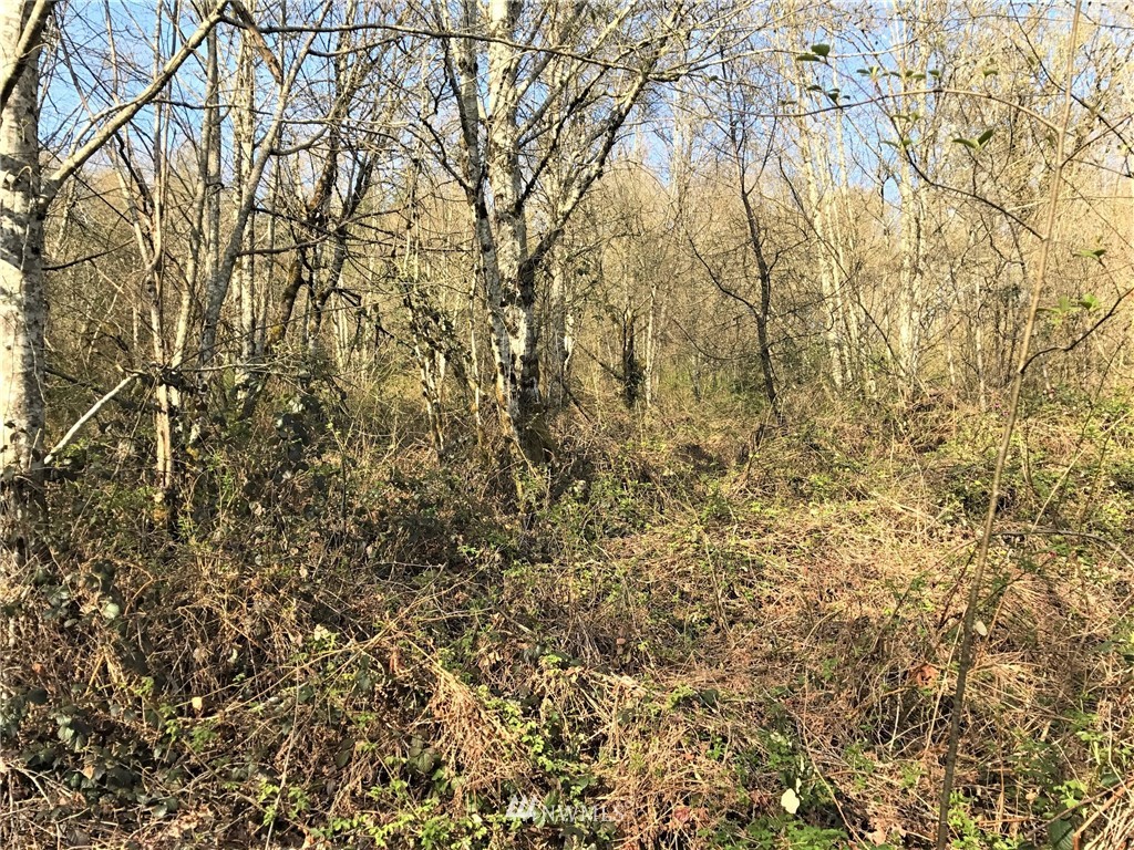 324-xx Ragland Road Longview, WA 98632 - Photo 21 of 27