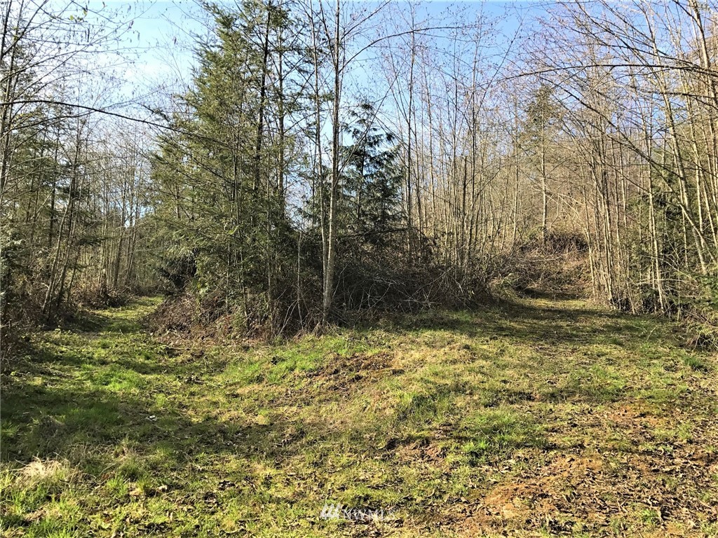 324-xx Ragland Road Longview, WA 98632 - Photo 6 of 27