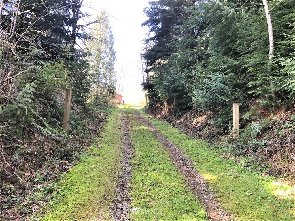 324-xx Ragland Road Longview, WA 98632 - Photo 8 of 27