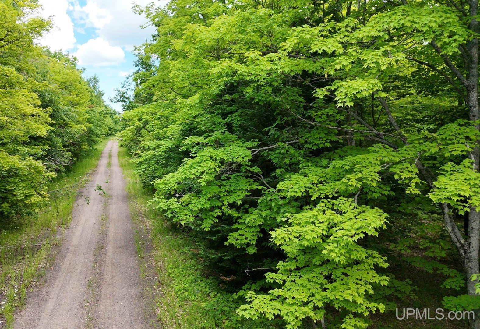 Tbda Winona Road Toivola, MI 49965 - Photo 14 of 18