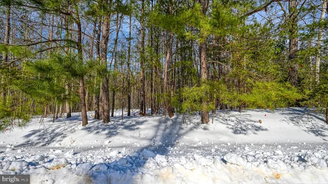 $120,000 | Lot 166 Travellers, Mineral, VA 23117