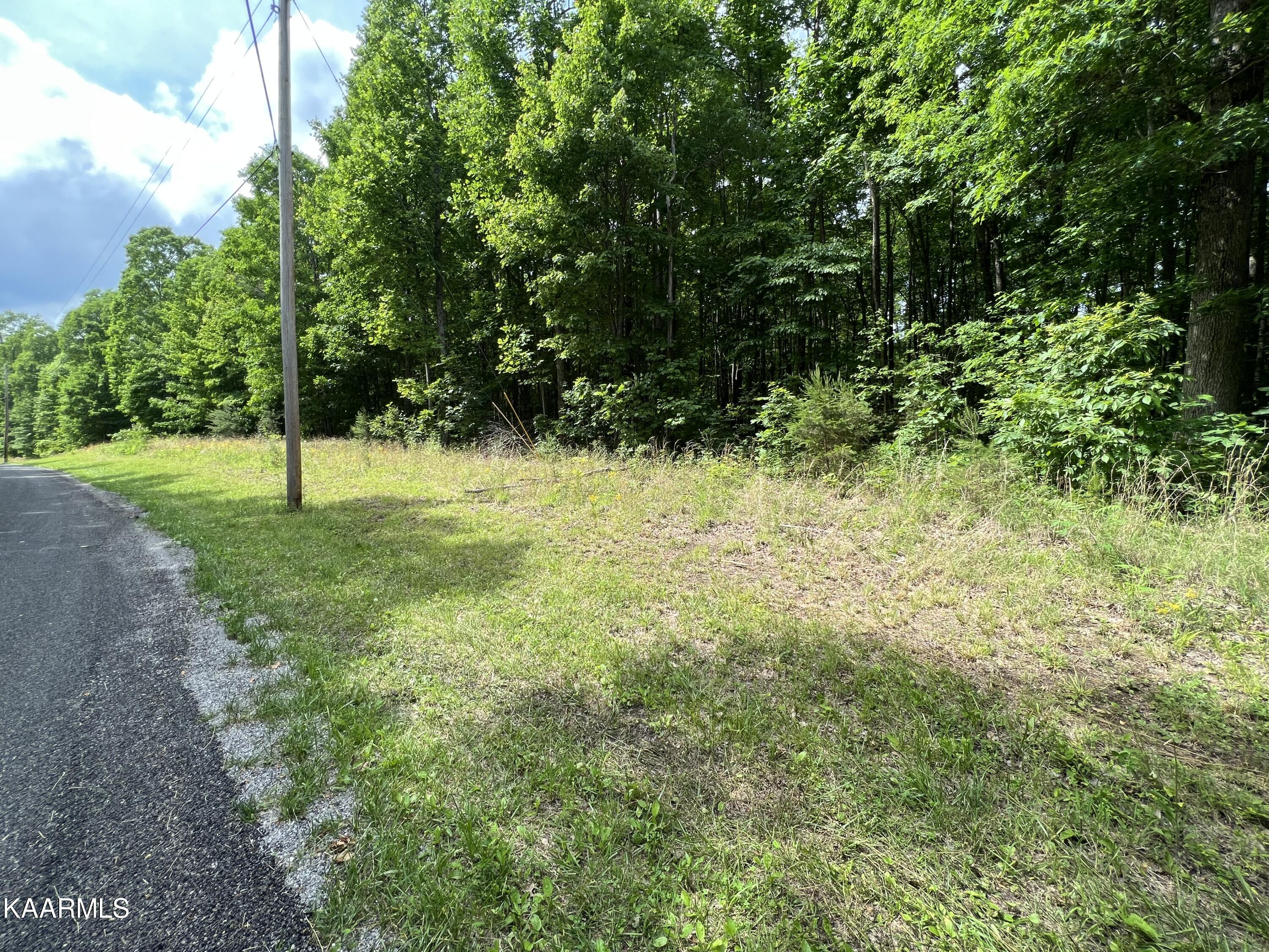 Cravenstown Road Wilder, TN 38589 - Photo 2 of 17 94FF7997-1743-4FF6-BAAC-57043EF8FB99