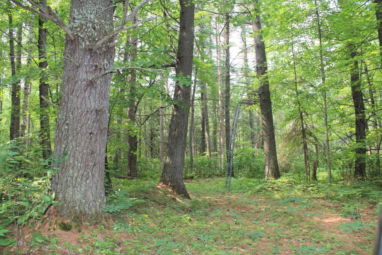 9974 Abe Road Tomahawk, WI 54487 - Photo 57 of 61 Gallery Image 57