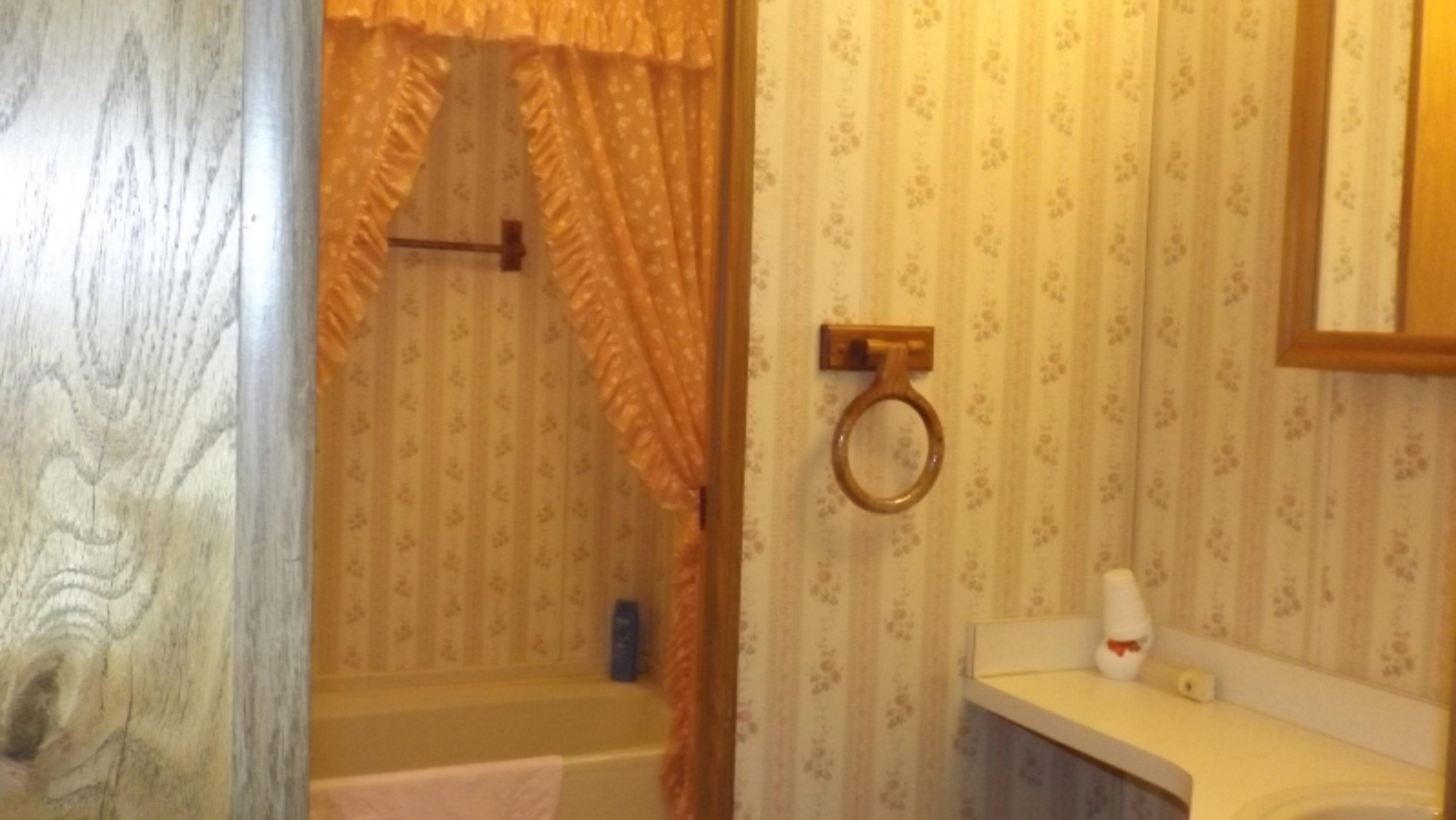 3171 North Cove Road Reading, MI 49274 - Photo 17 of 33 Master Bath