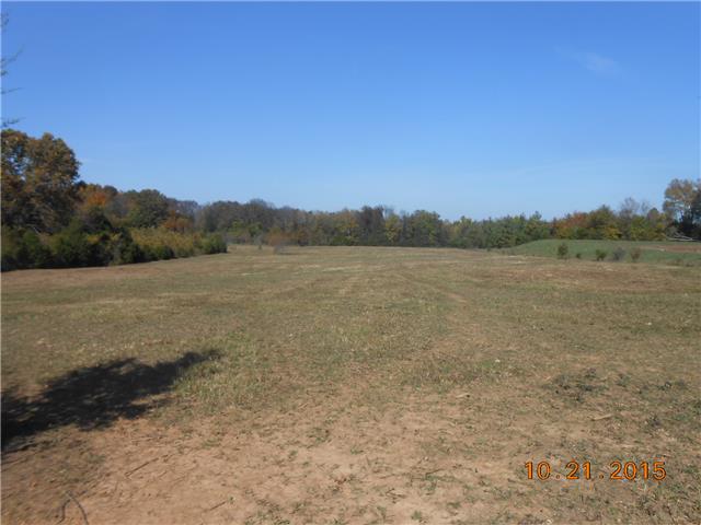 470 Philpot Road Bell Buckle, TN 37020 - Photo 5 of 6 Field