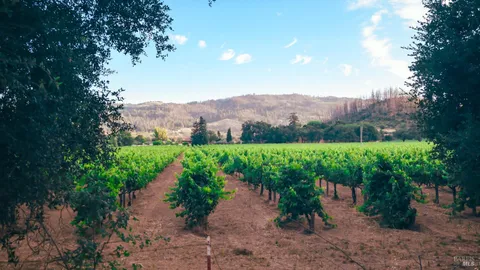 $1,850,000 | 4405 Silverado Trail North, Calistoga, CA 94515