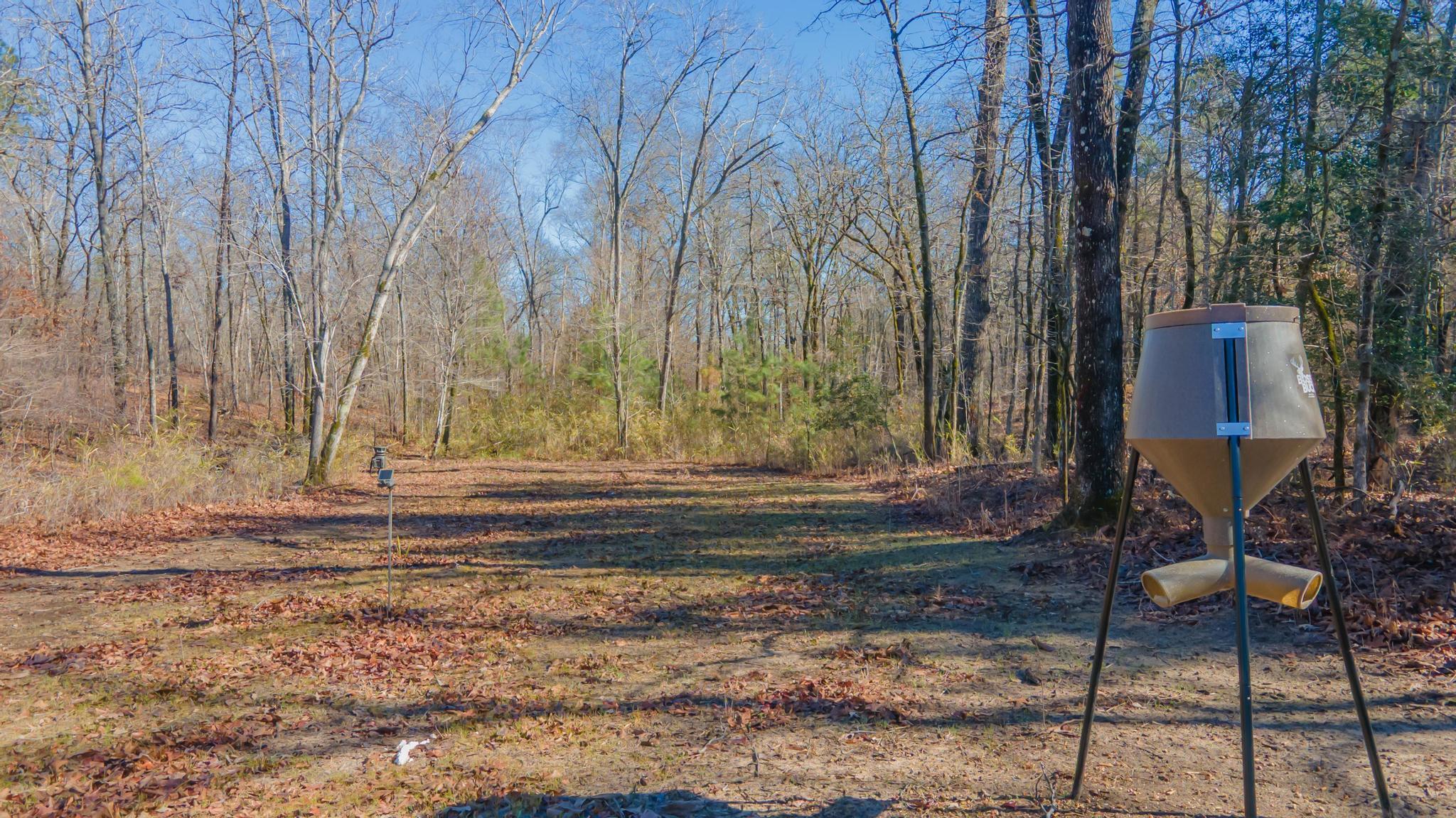 7942 Wagener Road Salley, SC 29137 - Photo 22 of 25