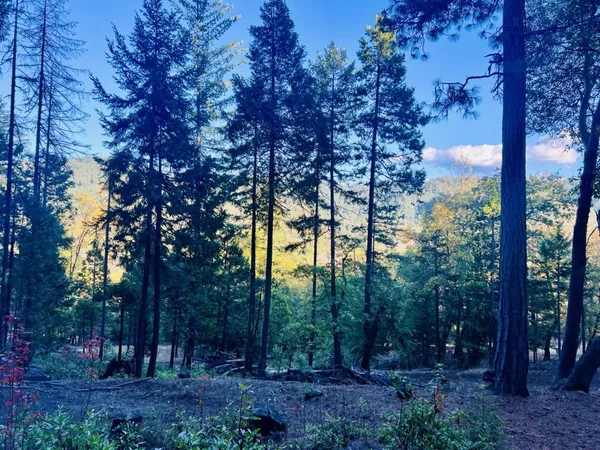 $75,000 | 501 Elder Mill Road, Trail, OR 97541