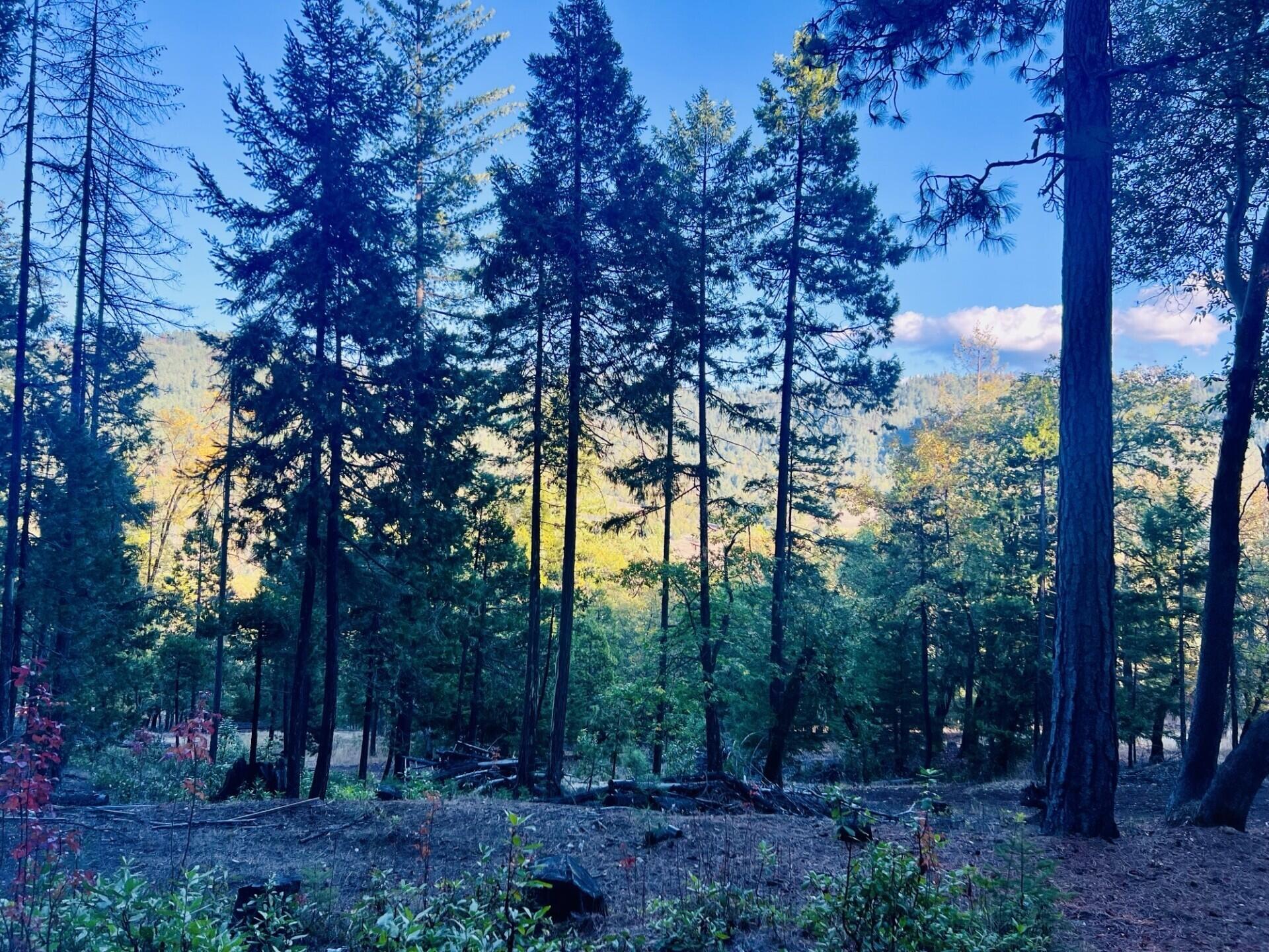 501 Elder Mill Road Trail, OR 97541 - Photo 1 of 12 thumbnail_IMG_7008