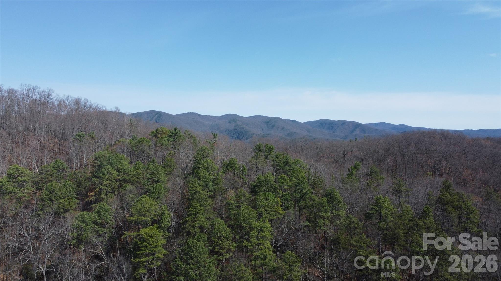 a view of a mountain range with trees in the background