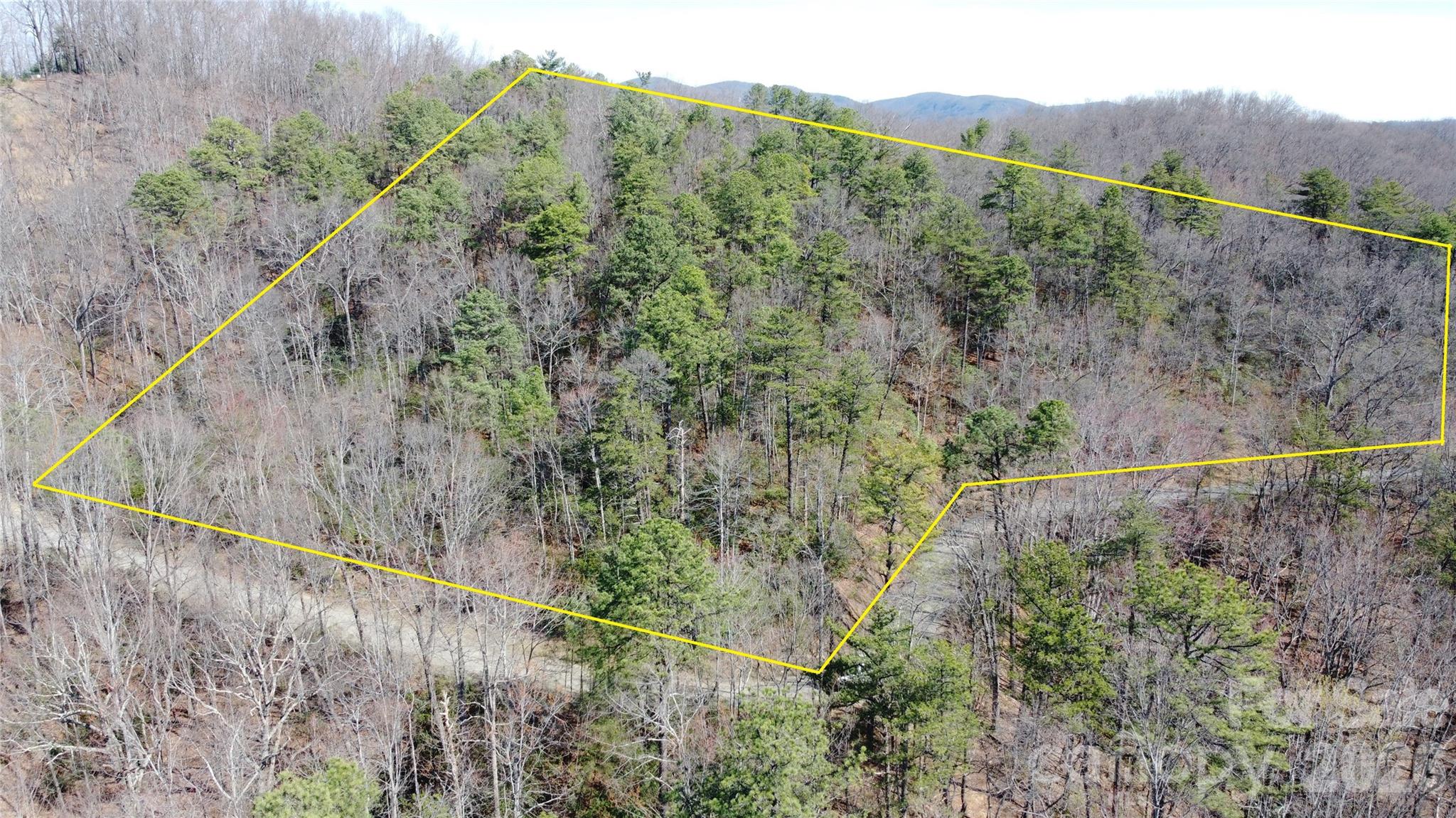 0 Wilderness Road Hays, NC 28635 - Photo 2 of 12 a view of a forest with a forest