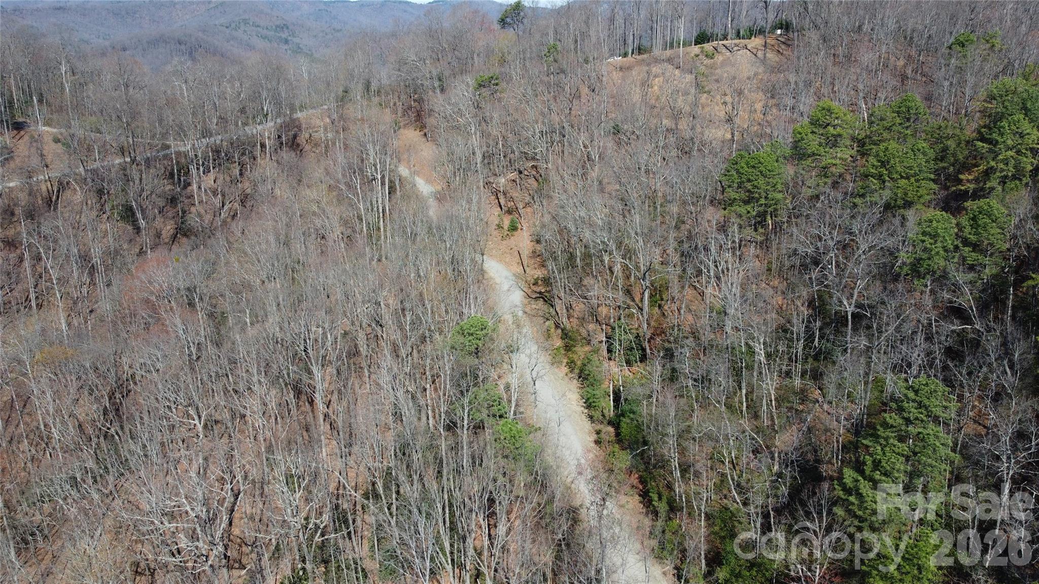 0 Wilderness Road Hays, NC 28635 - Photo 7 of 12 a view of a dry yard