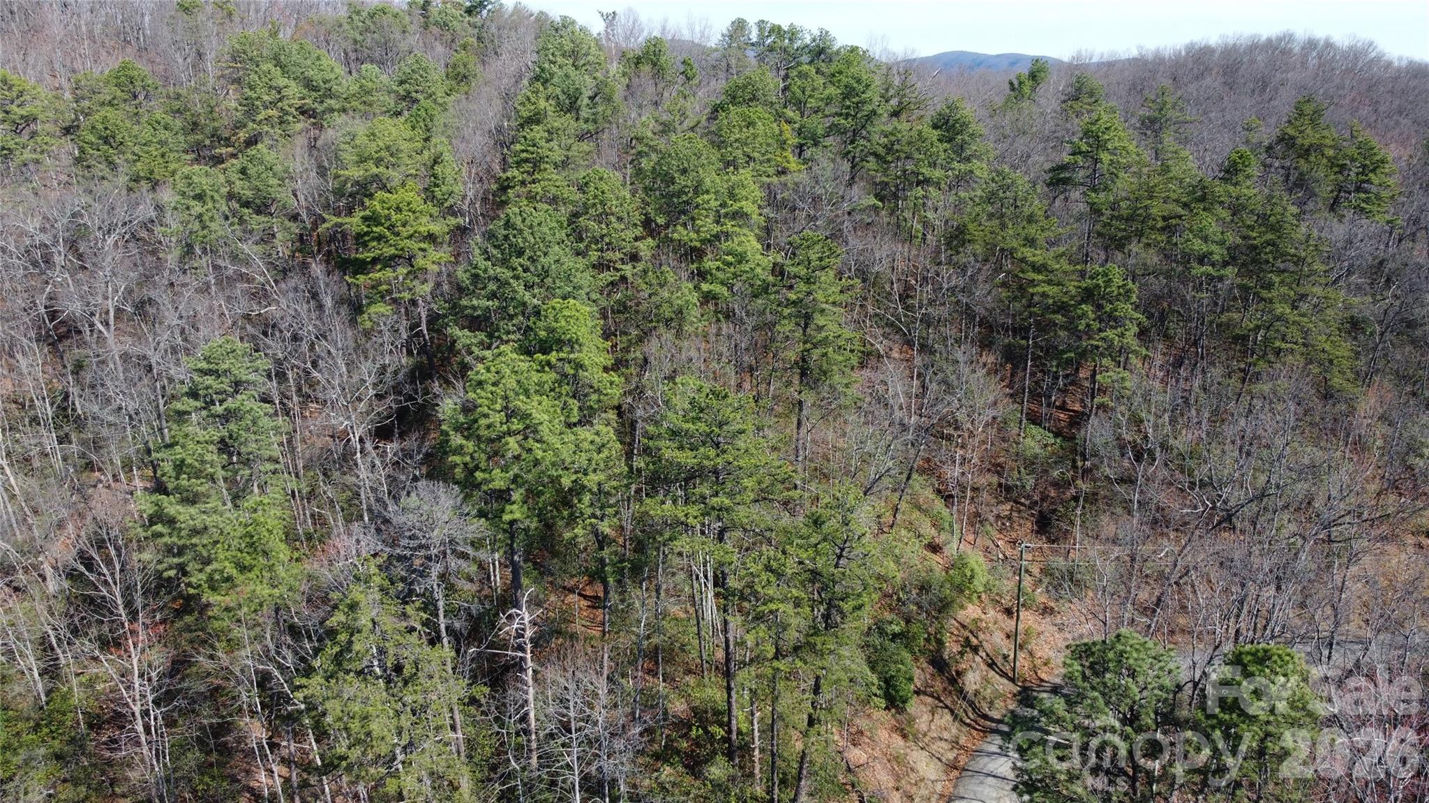 0 Wilderness Road Hays, NC 28635 - Photo 8 of 12 a view of a lush green forest with trees and houses