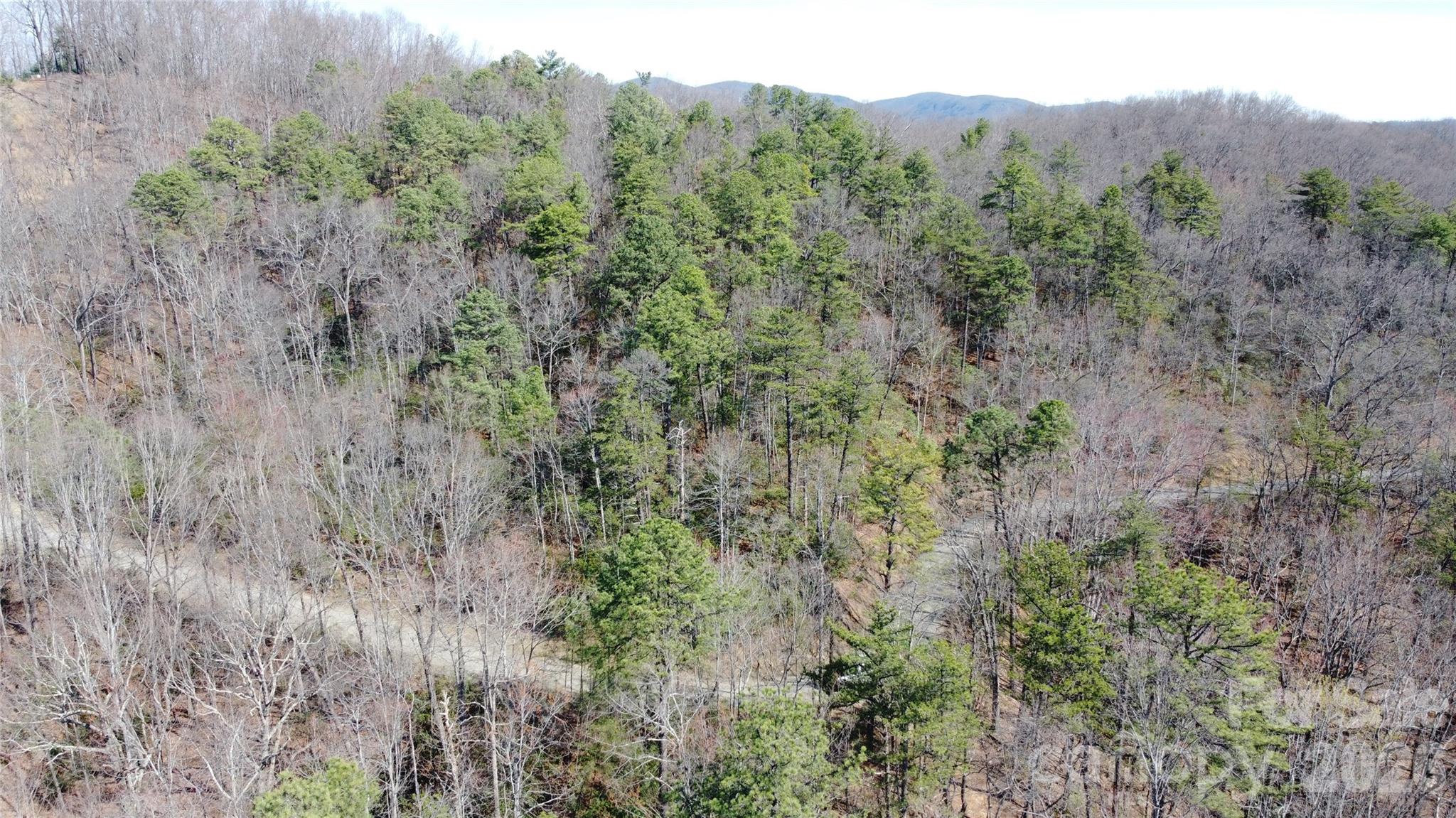 0 Wilderness Road Hays, NC 28635 - Photo 9 of 12 a view of a lush green forest with trees in the background