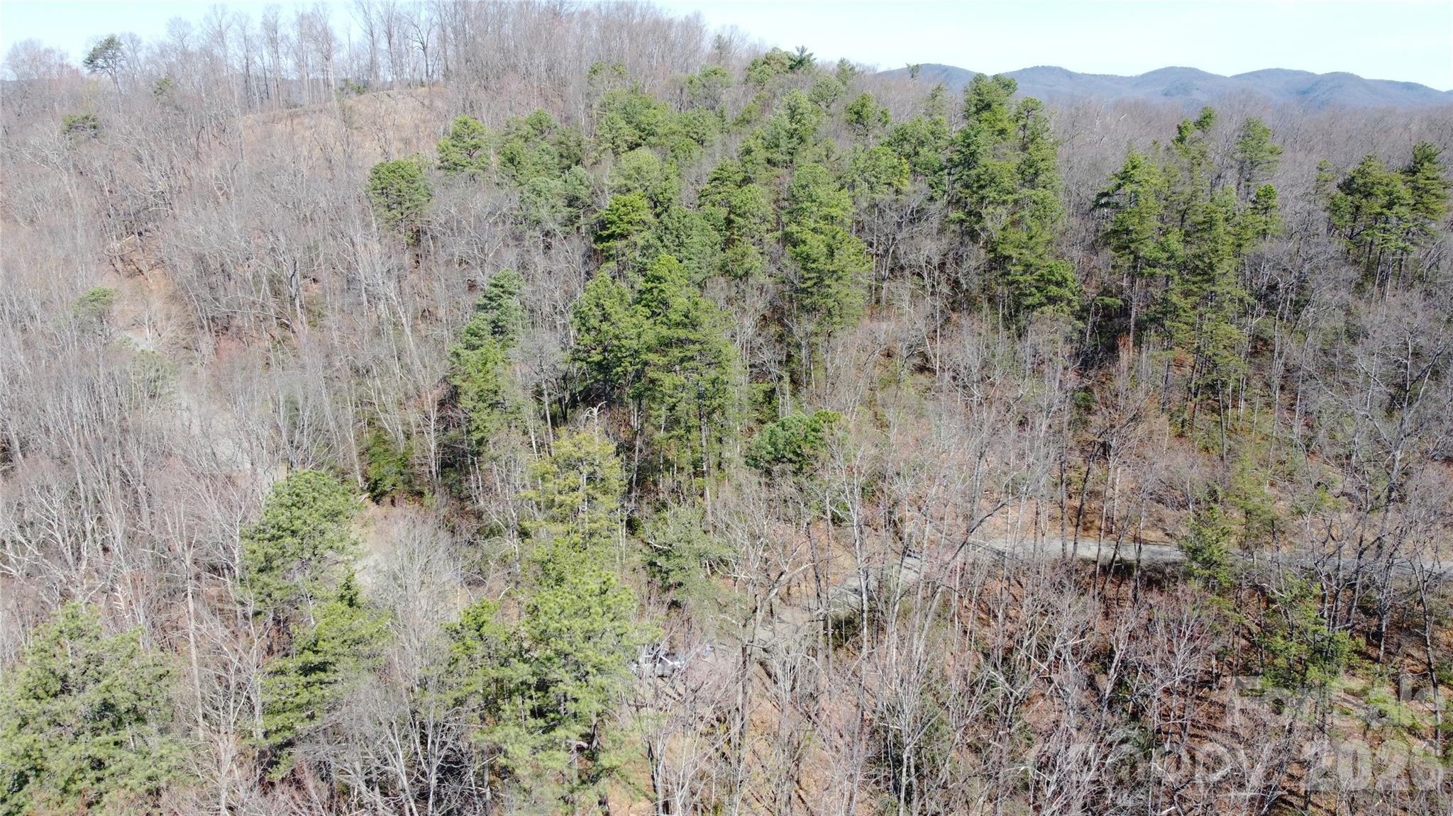 0 Wilderness Road Hays, NC 28635 - Photo 10 of 12 a view of a lush green forest with trees and some houses