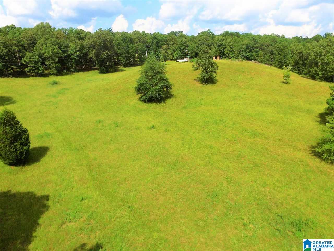 950 County Road 478, Unit 1 Clanton, AL 35046 - Photo 14 of 31