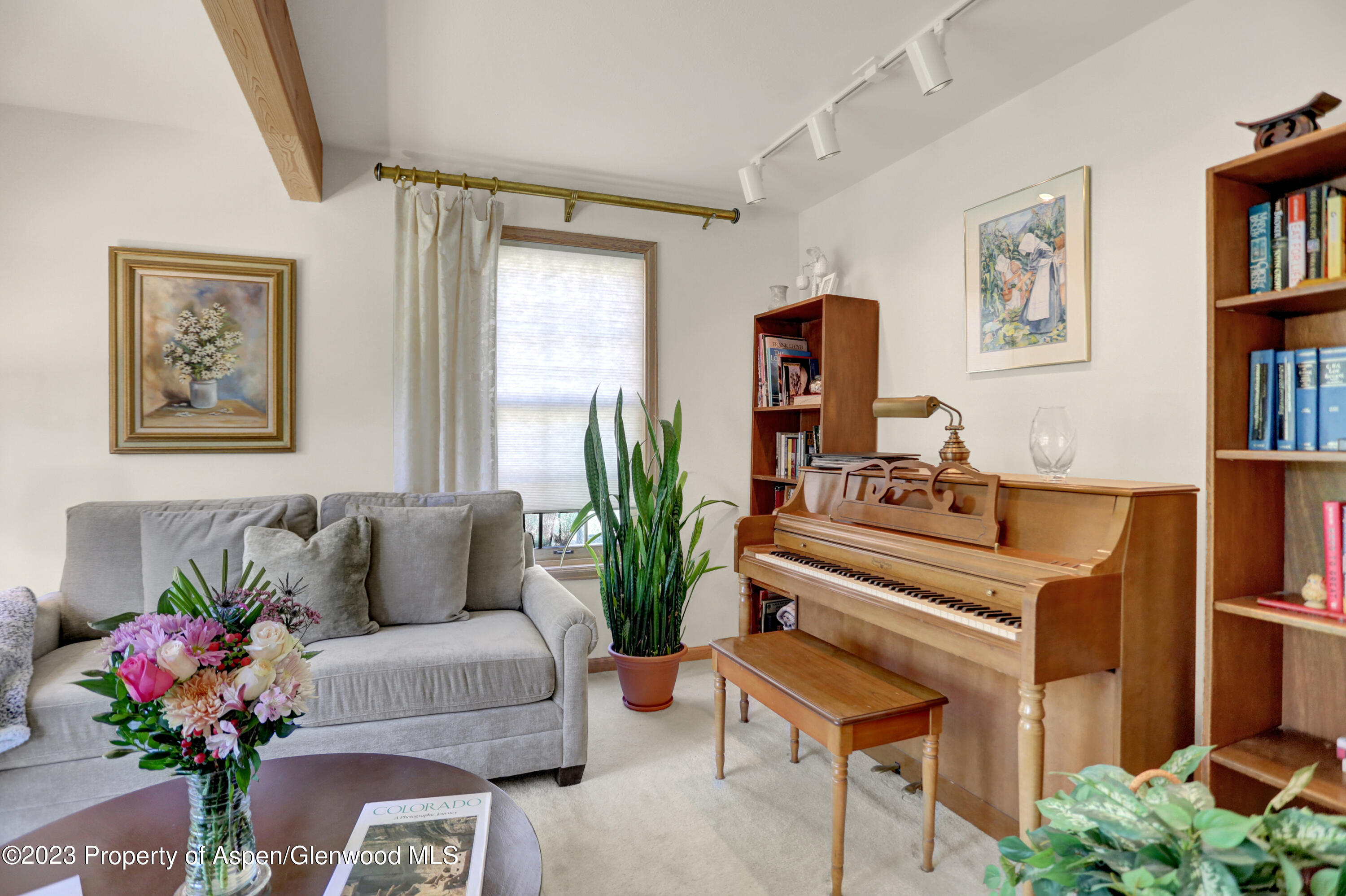 921 Alta Vista Drive Craig, CO 81625 - Photo 5 of 55 a living room with furniture and a potted plant