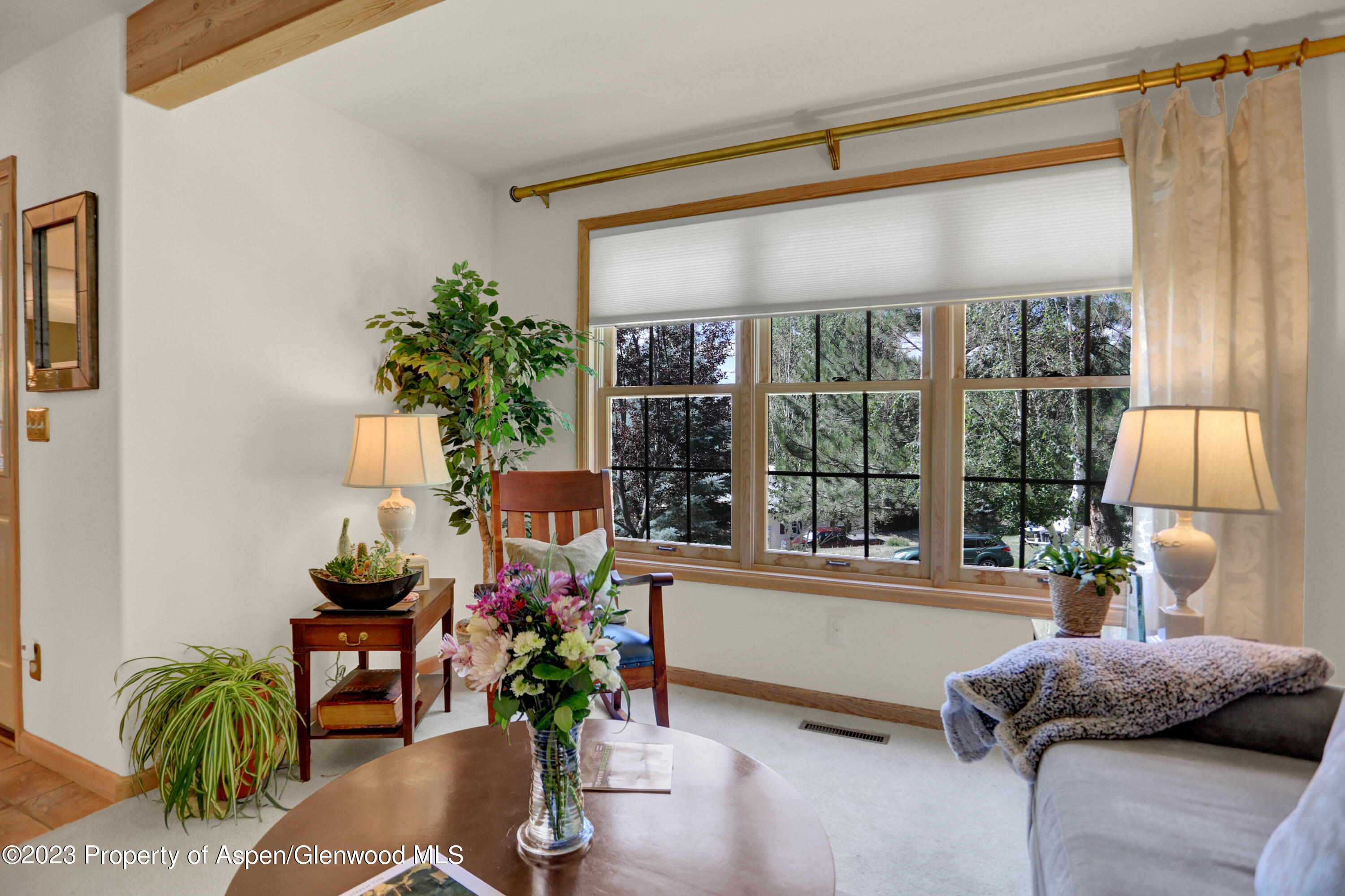 921 Alta Vista Drive Craig, CO 81625 - Photo 6 of 55 a living room filled with furniture and a potted plant