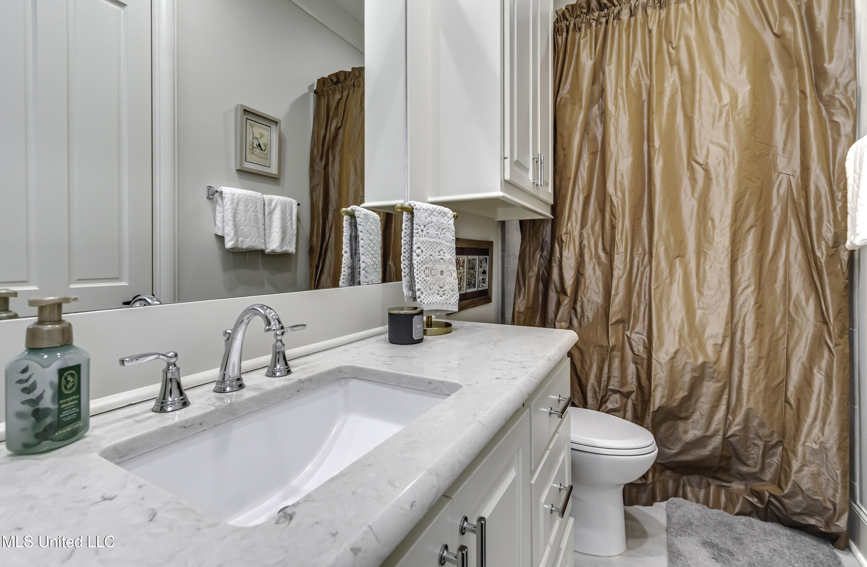 107 Louisiana Street Madison, MS 39110 - Photo 50 of 64 107 Loiusiana St--54