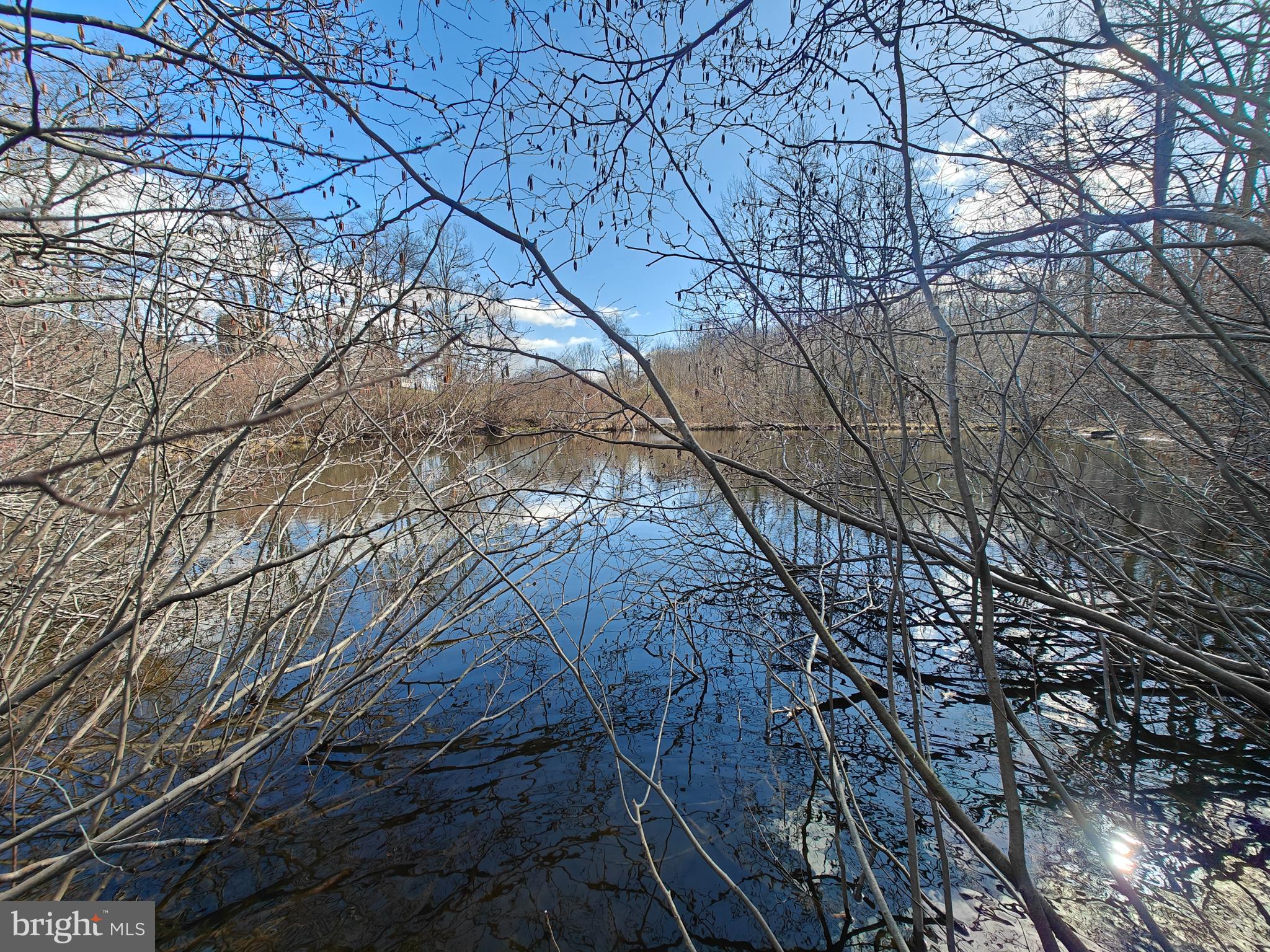 250 Fieldstone Road Honey Brook, PA 19344 - Photo 65 of 69 Lower Pond