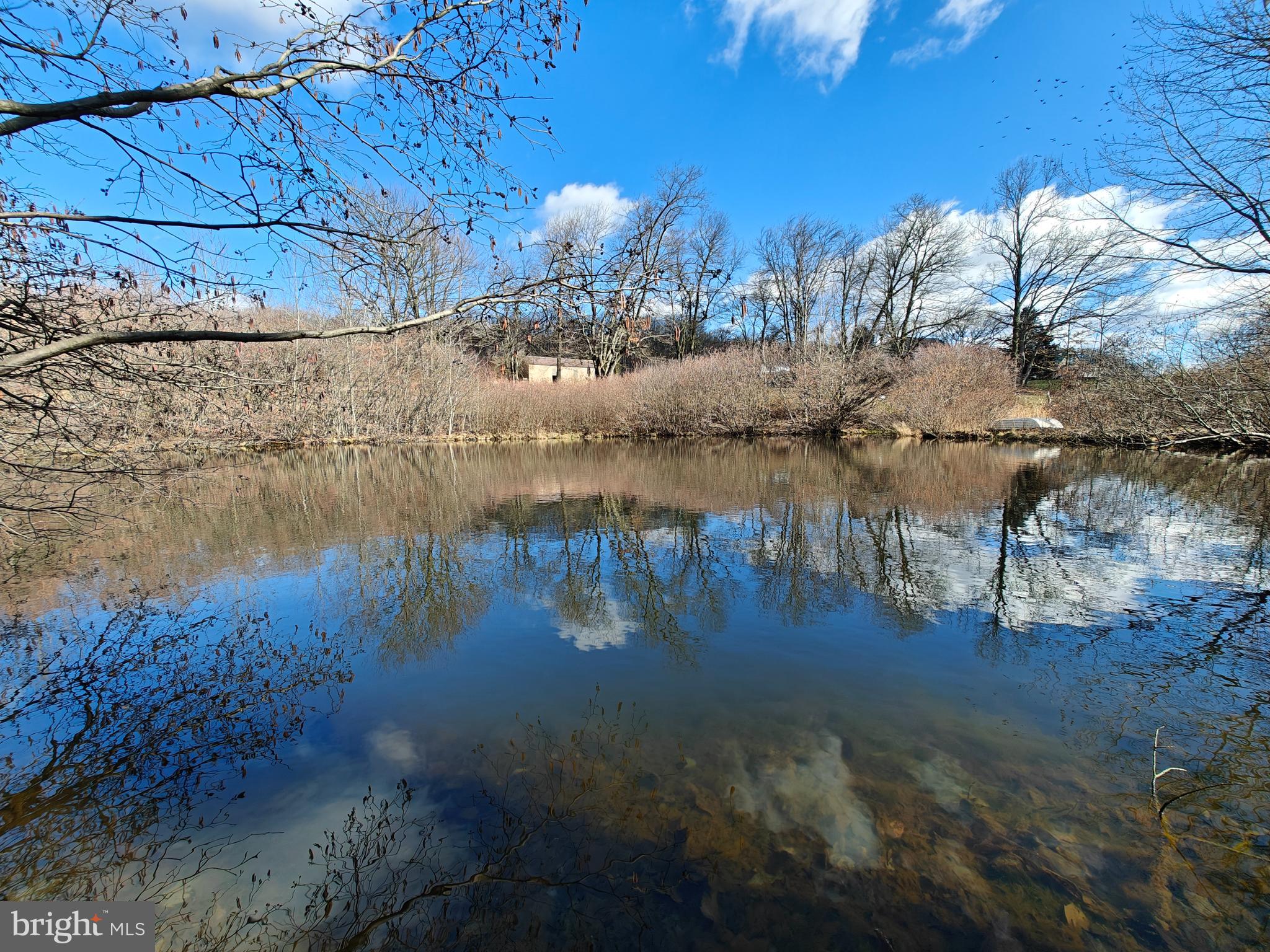 250 Fieldstone Road Honey Brook, PA 19344 - Photo 66 of 69 Lower Pond