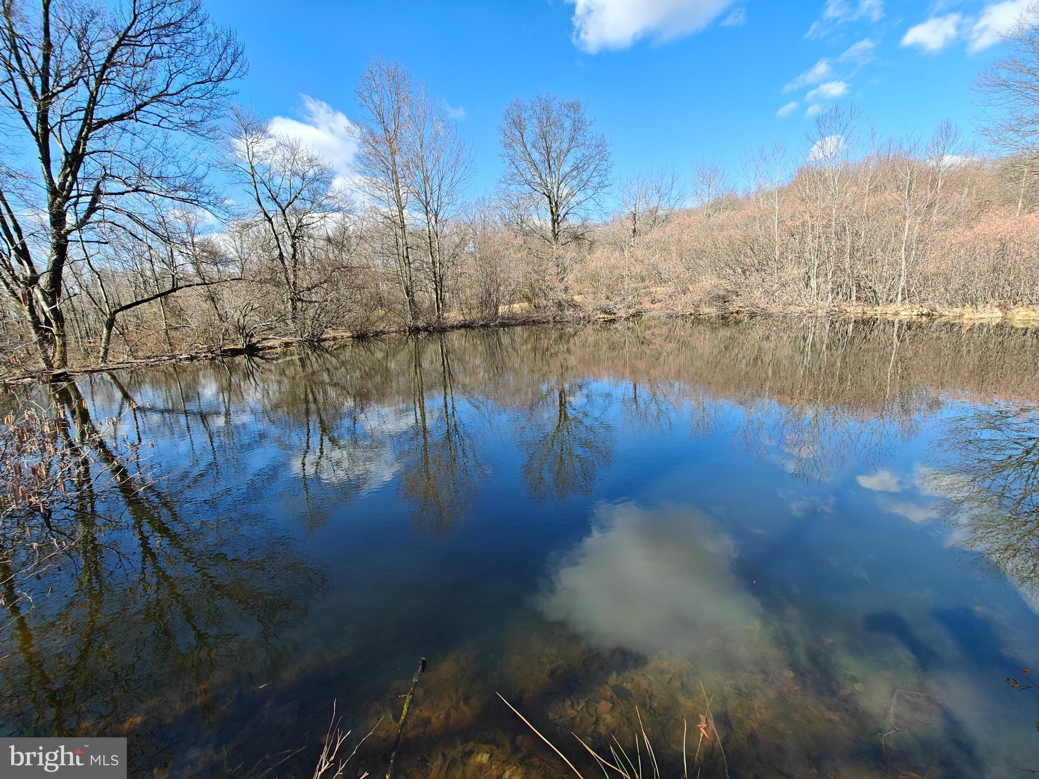 250 Fieldstone Road Honey Brook, PA 19344 - Photo 67 of 69 Lower Pond