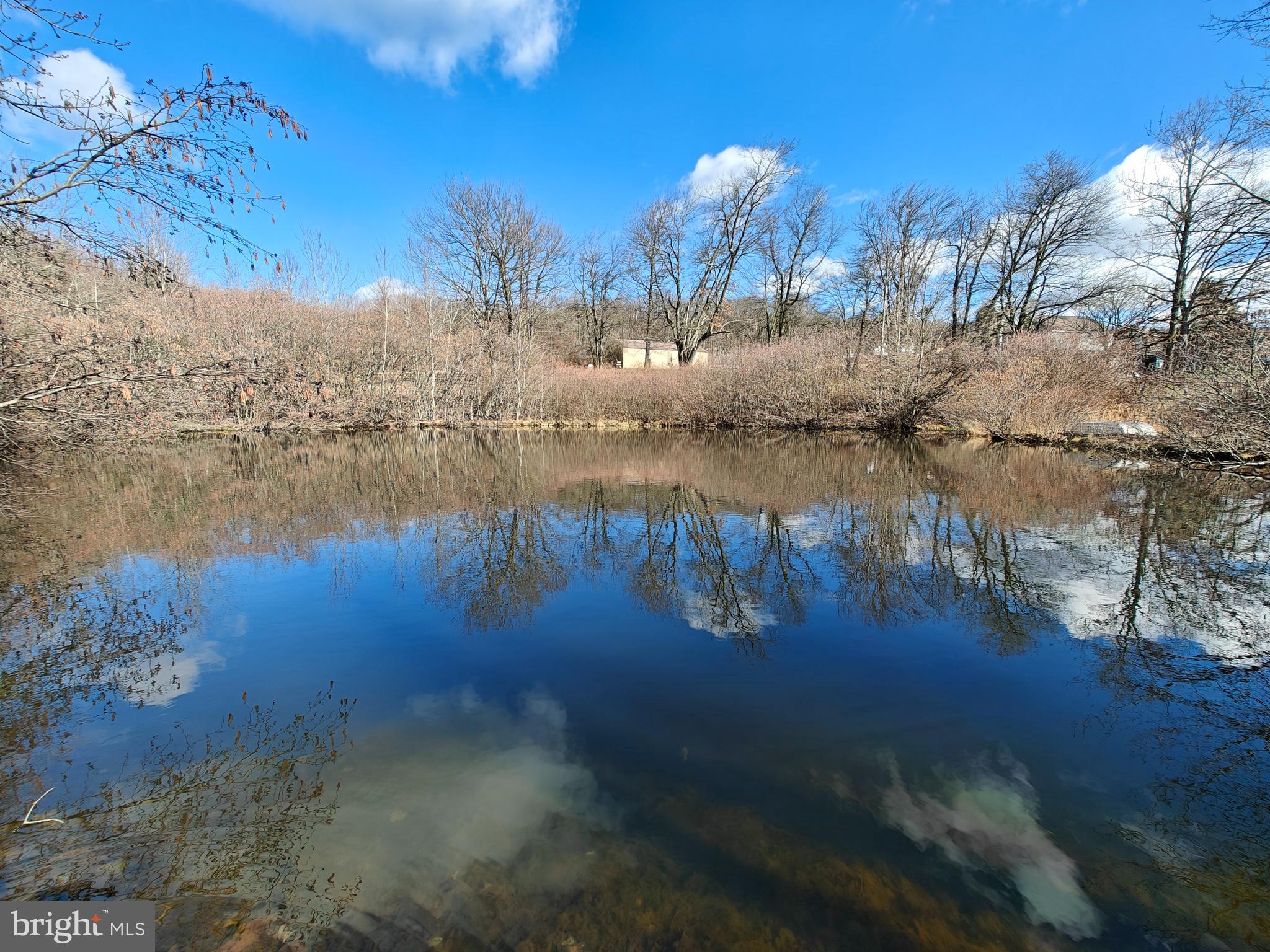 250 Fieldstone Road Honey Brook, PA 19344 - Photo 68 of 69 Lower Pond