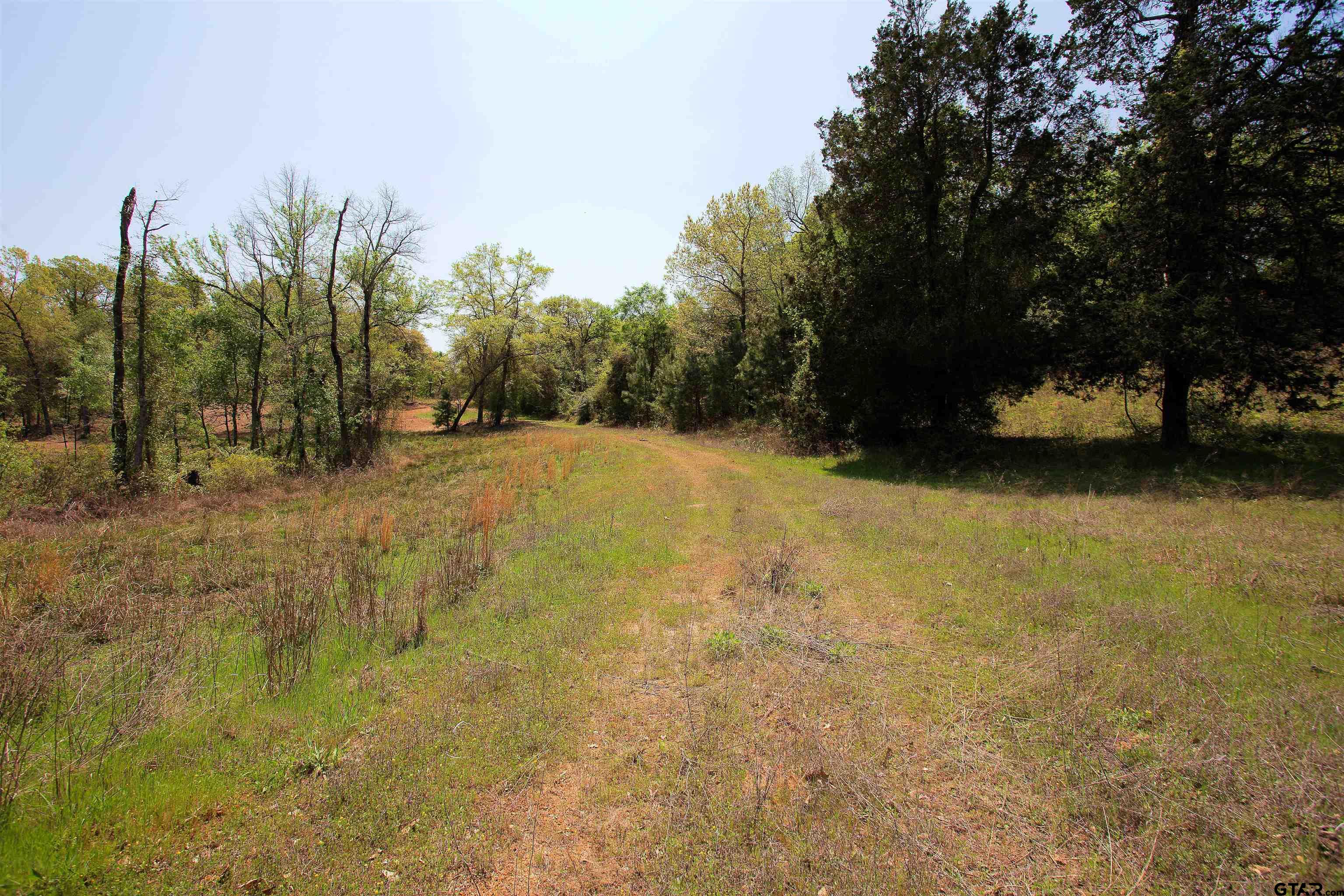998 County Road 311 Tyler, TX 75706 - Photo 28 of 41