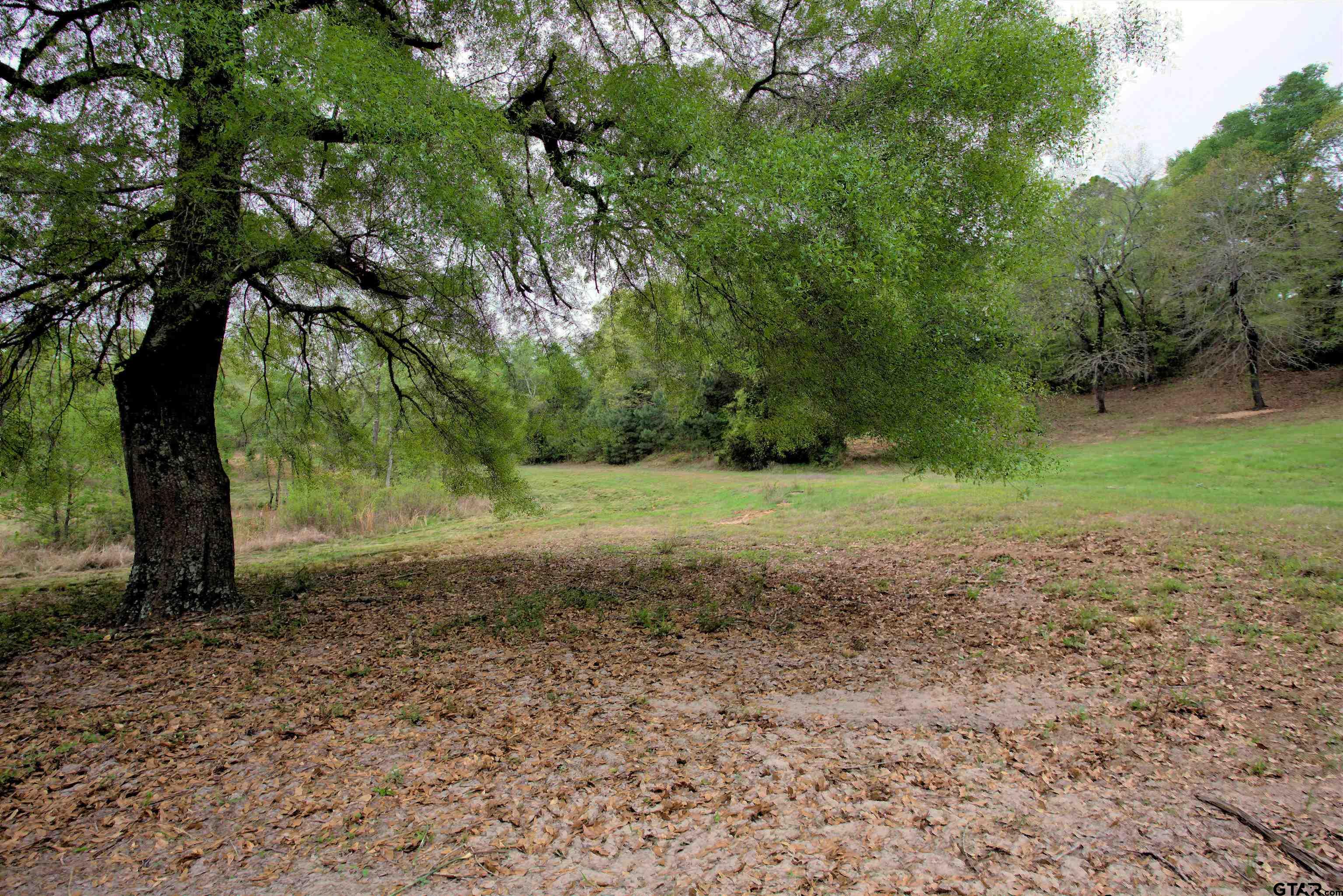 998 County Road 311 Tyler, TX 75706 - Photo 29 of 41
