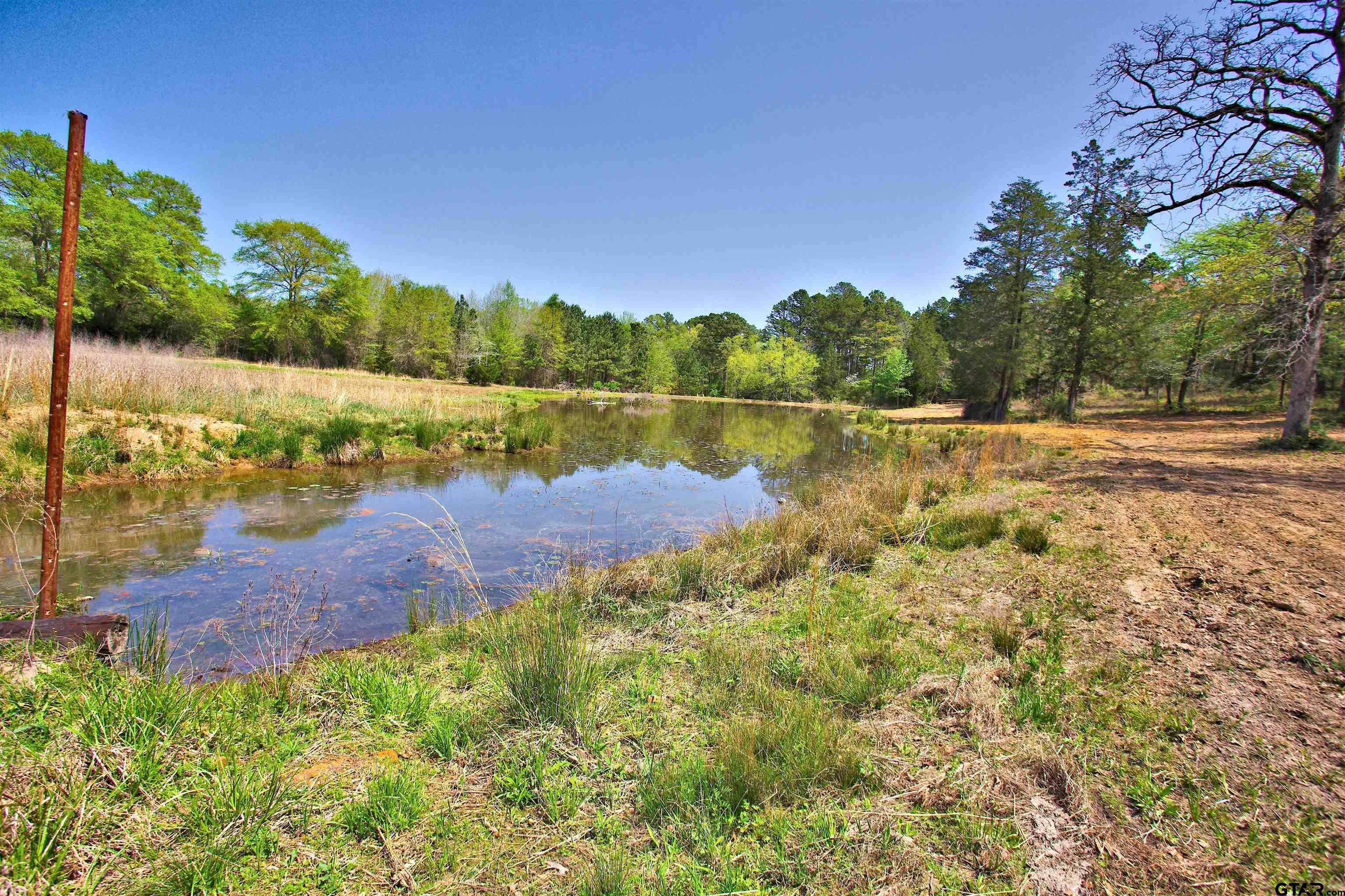 998 County Road 311 Tyler, TX 75706 - Photo 30 of 41