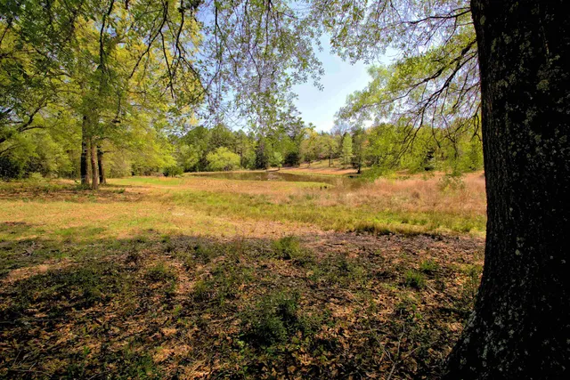 $400,000 | 998 County Road 311, Tyler, TX 75706